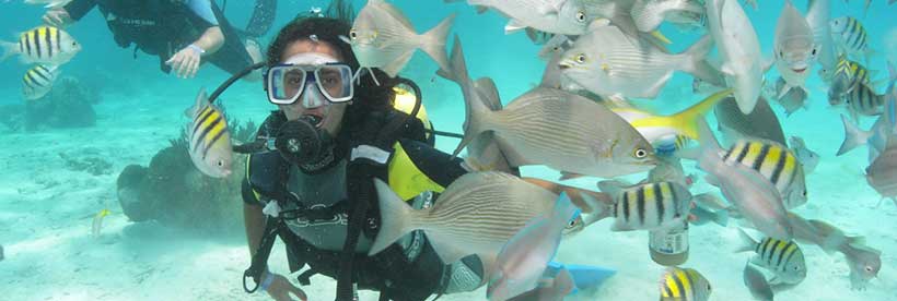 Lakshadweep