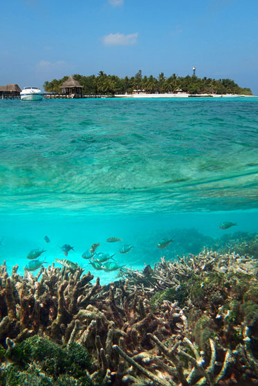 Lakshadweep Island