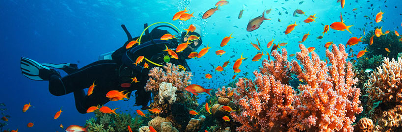 Lakshadweep