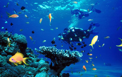 Lakshadweep Islands
