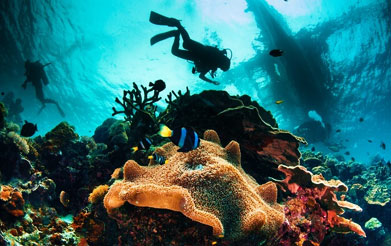 Lakshadweep Islands