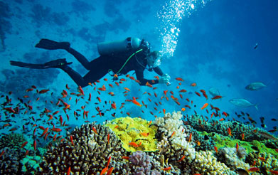 Lakshadweep Islands