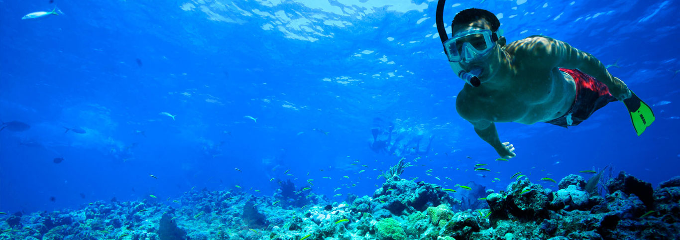 Snorkeling