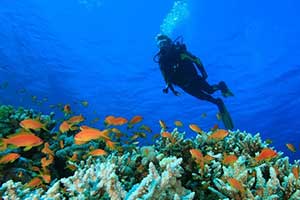 SNORKELING